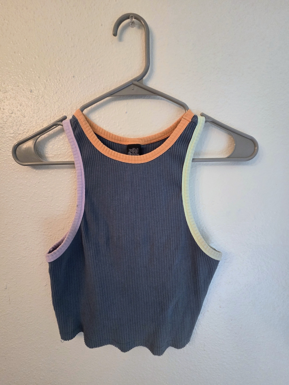Wild Fable - Ribbed Cropped Tank